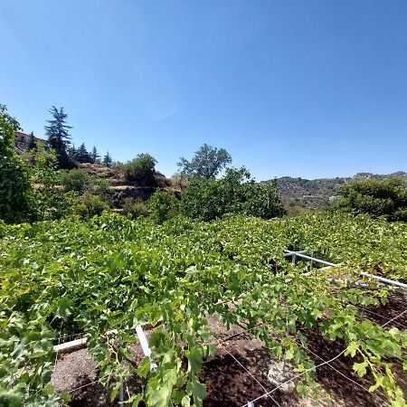 Agros Green Valley Suites Limassol Extérieur photo