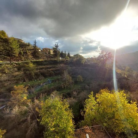 Agros Green Valley Suites Limassol Extérieur photo