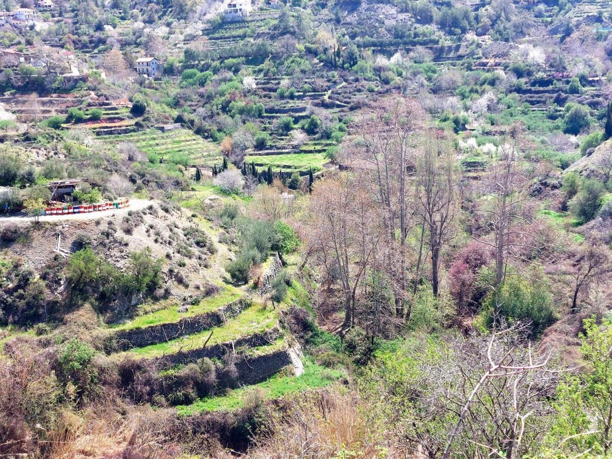 Agros Green Valley Suites Limassol Extérieur photo