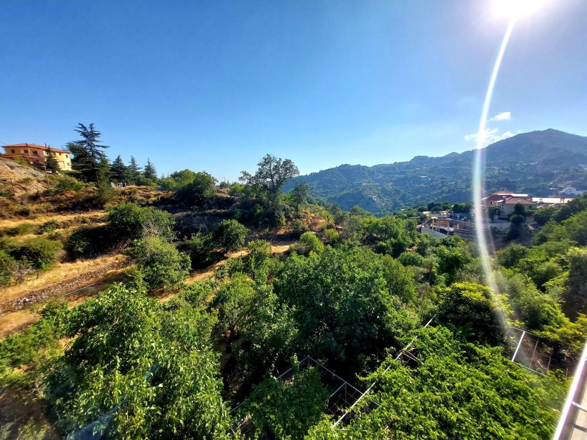 Agros Green Valley Suites Limassol Extérieur photo