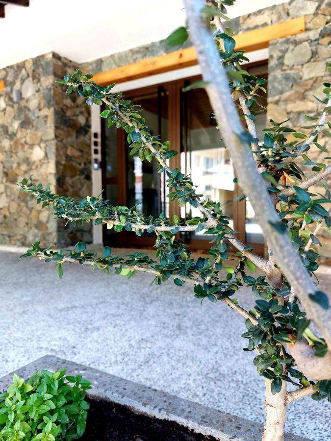 Agros Green Valley Suites Limassol Extérieur photo