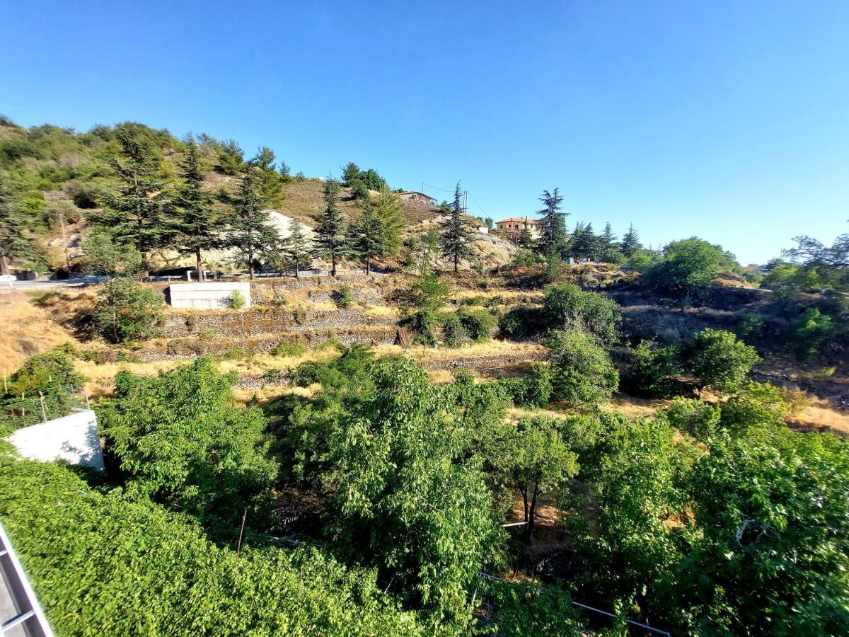 Agros Green Valley Suites Limassol Extérieur photo