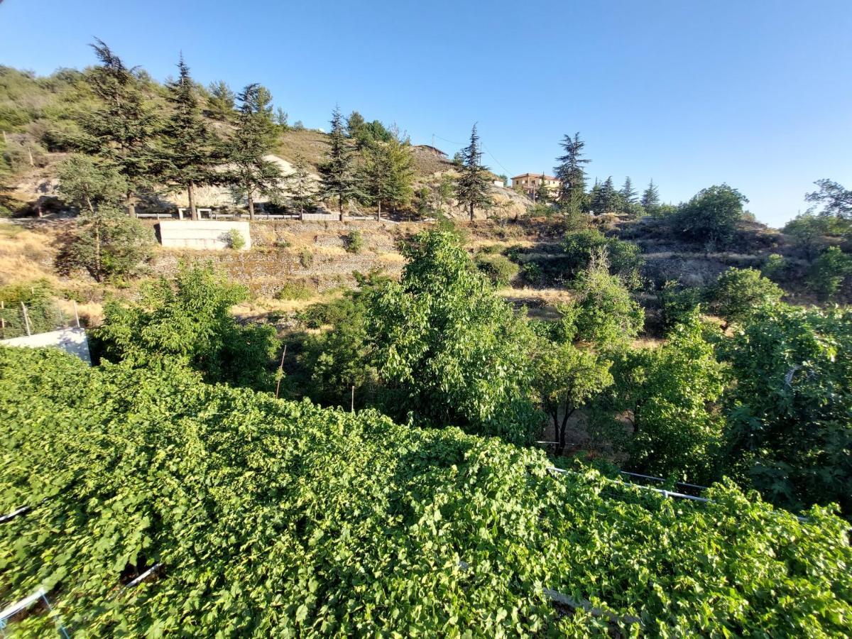 Agros Green Valley Suites Limassol Extérieur photo