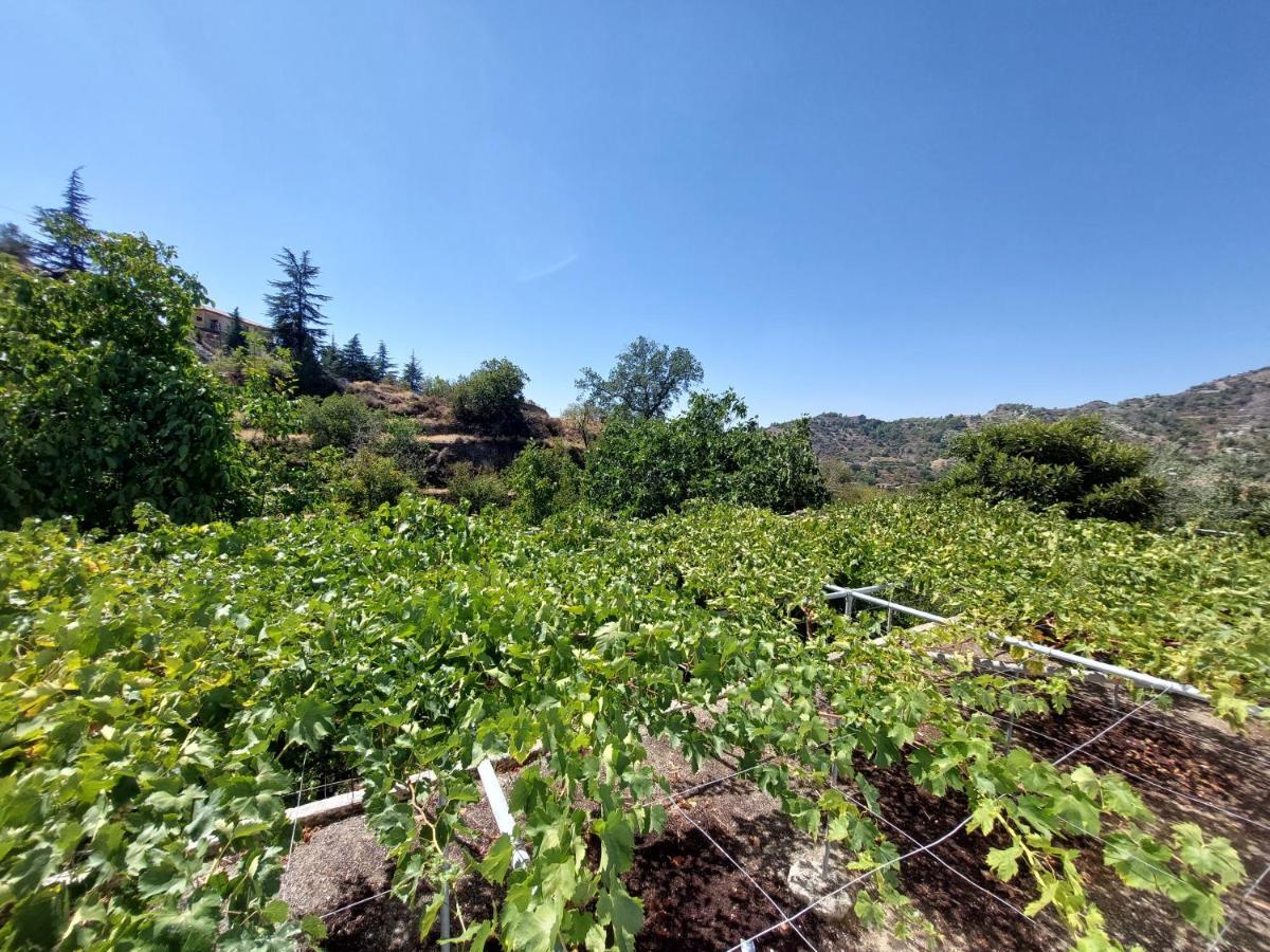 Agros Green Valley Suites Limassol Extérieur photo